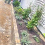 raised-bed-garden